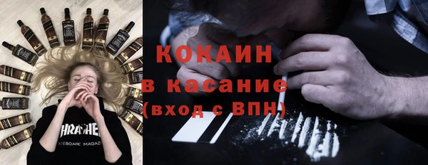 шишки Осташков