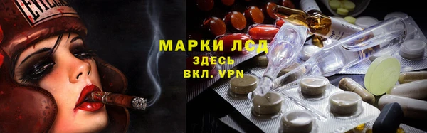 шишки Осташков