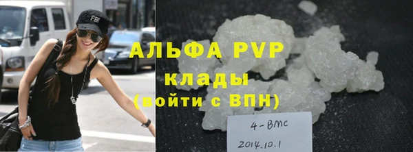 ECSTASY Вяземский