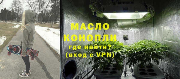 шишки Осташков