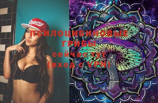 бутират Осинники