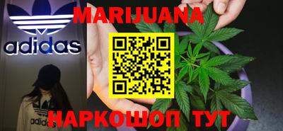 шишки Гусиноозёрск