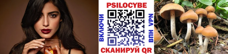купить наркотики сайты  Вичуга  OMG tor  Галлюциногенные грибы прущие грибы 