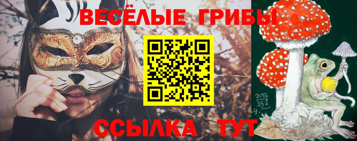 Псилоцибиновые грибы GOLDEN TEACHER  Вичуга 