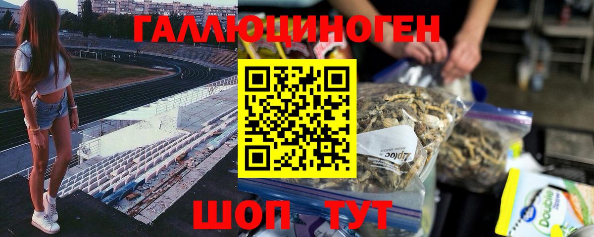 Псилоцибиновые грибы Psilocybine cubensis  Псилоцибиновые грибы Psilocybe  Вход с VPN  Вичуга 